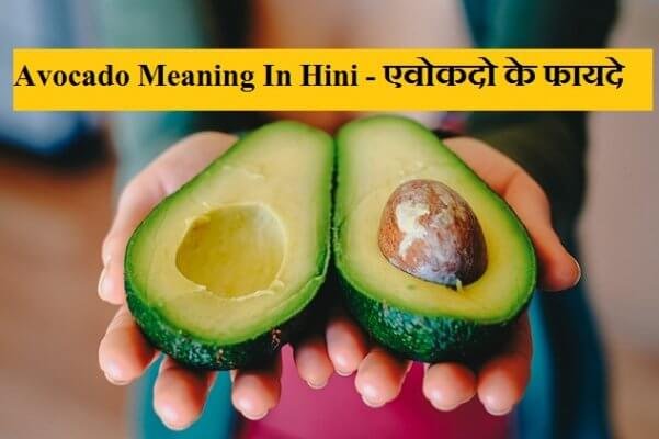 Avocado In hindi Detail